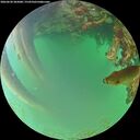 ./images/calvert/underwater/20260620/underwater20260620_202001M.jpg