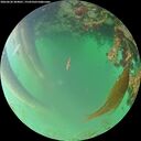 ./images/calvert/underwater/20260620/underwater20260620_204001M.jpg