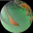 ./images/calvert/underwater/20260620/underwater20260620_213001M.jpg