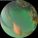 ./images/calvert/underwater/20260620/underwater20260620_213501M.jpg