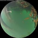 ./images/calvert/underwater/20260620/underwater20260620_214501M.jpg
