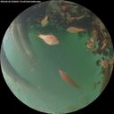 ./images/calvert/underwater/20260620/underwater20260620_220001M.jpg