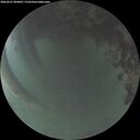 ./images/calvert/underwater/20260621/underwater20260621_044001M.jpg