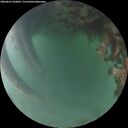 ./images/calvert/underwater/20260621/underwater20260621_050001M.jpg