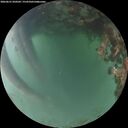 ./images/calvert/underwater/20260621/underwater20260621_050501M.jpg