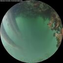 ./images/calvert/underwater/20260621/underwater20260621_051001M.jpg
