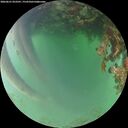 ./images/calvert/underwater/20260621/underwater20260621_053501M.jpg