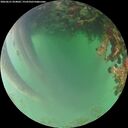 ./images/calvert/underwater/20260621/underwater20260621_054001M.jpg