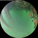 ./images/calvert/underwater/20260621/underwater20260621_054501M.jpg
