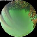 ./images/calvert/underwater/20260621/underwater20260621_061001M.jpg