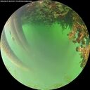 ./images/calvert/underwater/20260621/underwater20260621_061501M.jpg