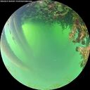 ./images/calvert/underwater/20260621/underwater20260621_064502M.jpg