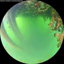 ./images/calvert/underwater/20260621/underwater20260621_065001M.jpg