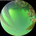 ./images/calvert/underwater/20260621/underwater20260621_065502M.jpg