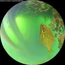 ./images/calvert/underwater/20260621/underwater20260621_071001M.jpg