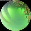 ./images/calvert/underwater/20260621/underwater20260621_074502M.jpg
