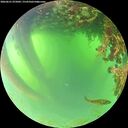 ./images/calvert/underwater/20260621/underwater20260621_075002M.jpg