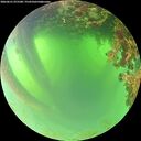 ./images/calvert/underwater/20260621/underwater20260621_075501M.jpg