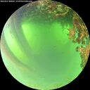 ./images/calvert/underwater/20260621/underwater20260621_080001M.jpg