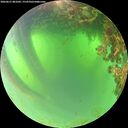 ./images/calvert/underwater/20260621/underwater20260621_081002M.jpg