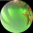 ./images/calvert/underwater/20260621/underwater20260621_082501M.jpg