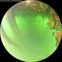 ./images/calvert/underwater/20260621/underwater20260621_083501M.jpg