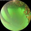 ./images/calvert/underwater/20260621/underwater20260621_084001M.jpg
