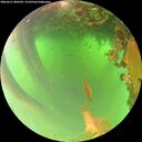 ./images/calvert/underwater/20260621/underwater20260621_084501M.jpg