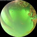 ./images/calvert/underwater/20260621/underwater20260621_085501M.jpg
