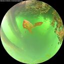 ./images/calvert/underwater/20260621/underwater20260621_090501M.jpg