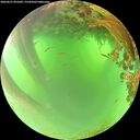 ./images/calvert/underwater/20260621/underwater20260621_091001M.jpg