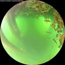 ./images/calvert/underwater/20260621/underwater20260621_092001M.jpg
