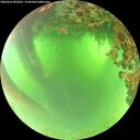 ./images/calvert/underwater/20260621/underwater20260621_093501M.jpg