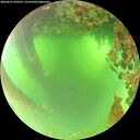 ./images/calvert/underwater/20260621/underwater20260621_094501M.jpg