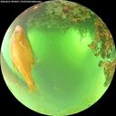 ./images/calvert/underwater/20260621/underwater20260621_095001M.jpg