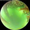 ./images/calvert/underwater/20260621/underwater20260621_095501M.jpg