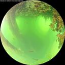 ./images/calvert/underwater/20260621/underwater20260621_100501M.jpg