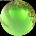 ./images/calvert/underwater/20260621/underwater20260621_101001M.jpg