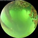./images/calvert/underwater/20260621/underwater20260621_101502M.jpg