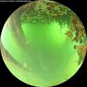 ./images/calvert/underwater/20260621/underwater20260621_102501M.jpg