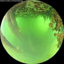 ./images/calvert/underwater/20260621/underwater20260621_103001M.jpg