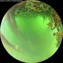 ./images/calvert/underwater/20260621/underwater20260621_104001M.jpg