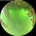 ./images/calvert/underwater/20260621/underwater20260621_104501M.jpg