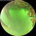 ./images/calvert/underwater/20260621/underwater20260621_105001M.jpg