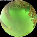 ./images/calvert/underwater/20260621/underwater20260621_105501M.jpg