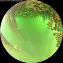 ./images/calvert/underwater/20260621/underwater20260621_110001M.jpg
