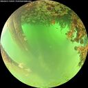 ./images/calvert/underwater/20260621/underwater20260621_110501M.jpg