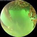 ./images/calvert/underwater/20260621/underwater20260621_111001M.jpg