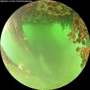 ./images/calvert/underwater/20260621/underwater20260621_111501M.jpg