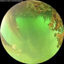 ./images/calvert/underwater/20260621/underwater20260621_112501M.jpg